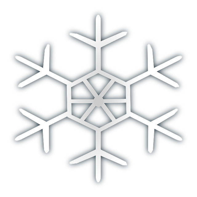 vector graphic snowflake snow ice frost cold #10526