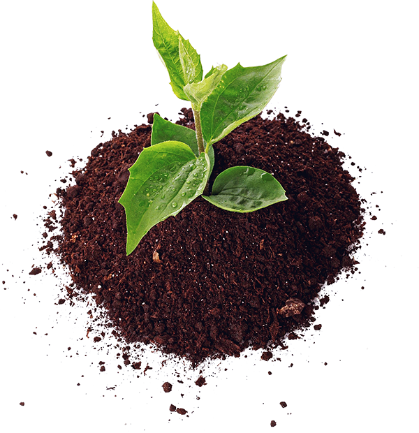 soil applications biochar bioenergy consult #37525