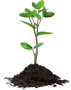 soil organic plant health care #37522