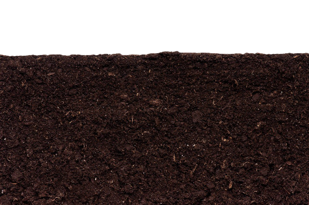 soil png #37516