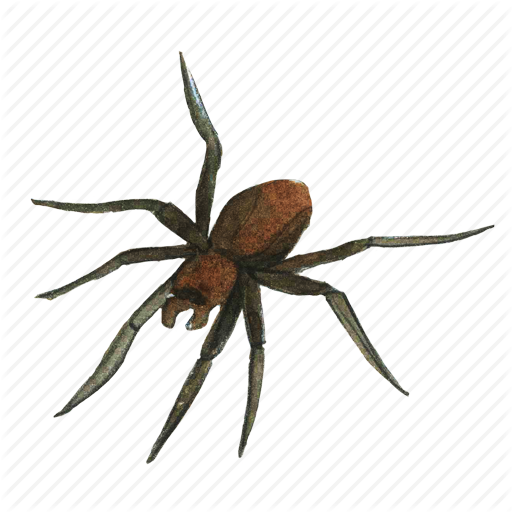 arachnid creepy halloween horror insect scary spider #24533