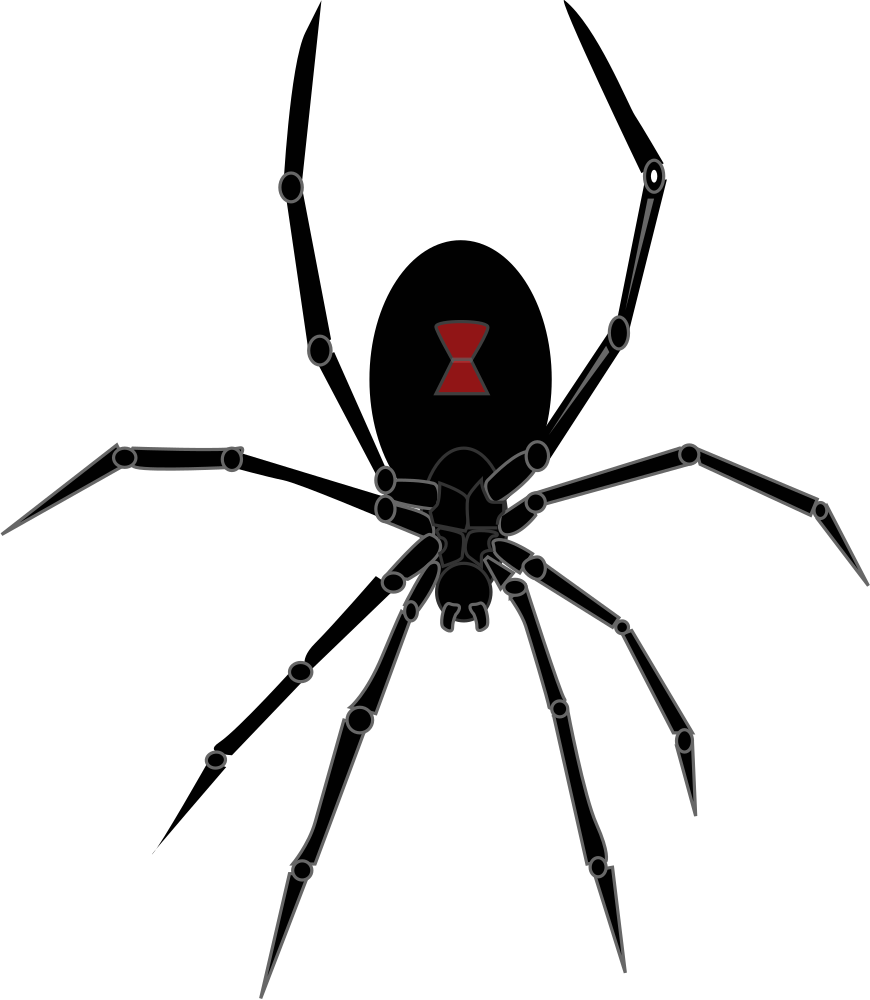 onlinelabels clip art black widow spider #24570