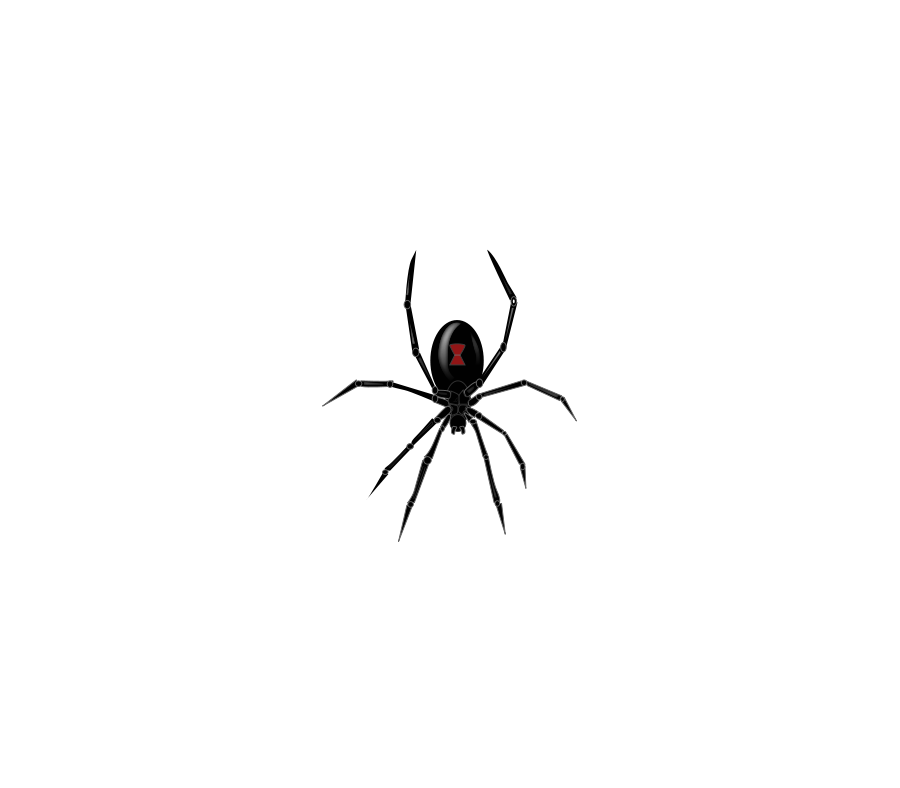 Spider PNG Transparent, Spider Clip Art Free Download Imags