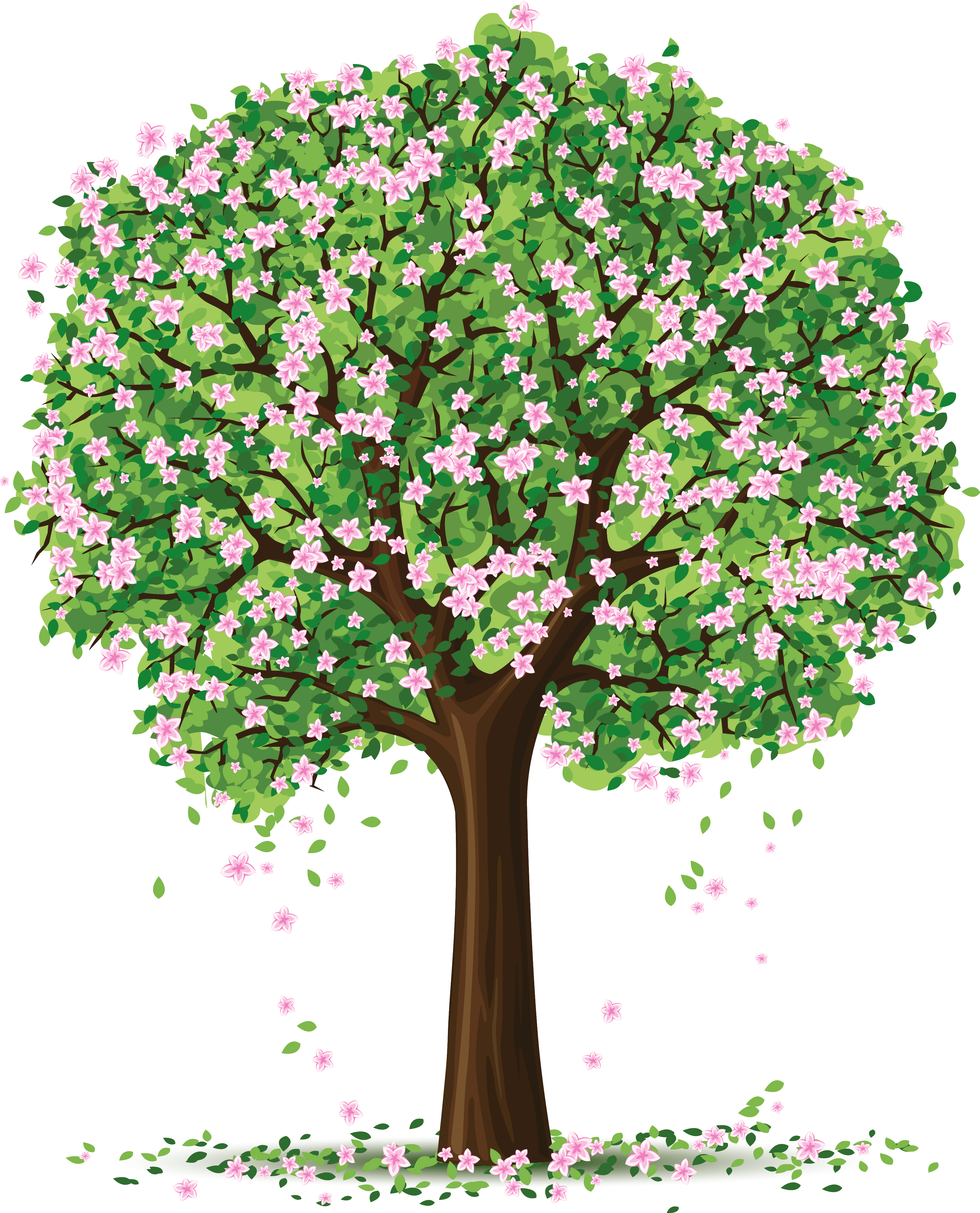 beautiful spring green tree hd transparent background #41532