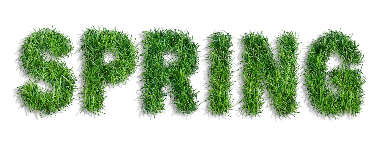 hd grass spring logo transparent png #41541