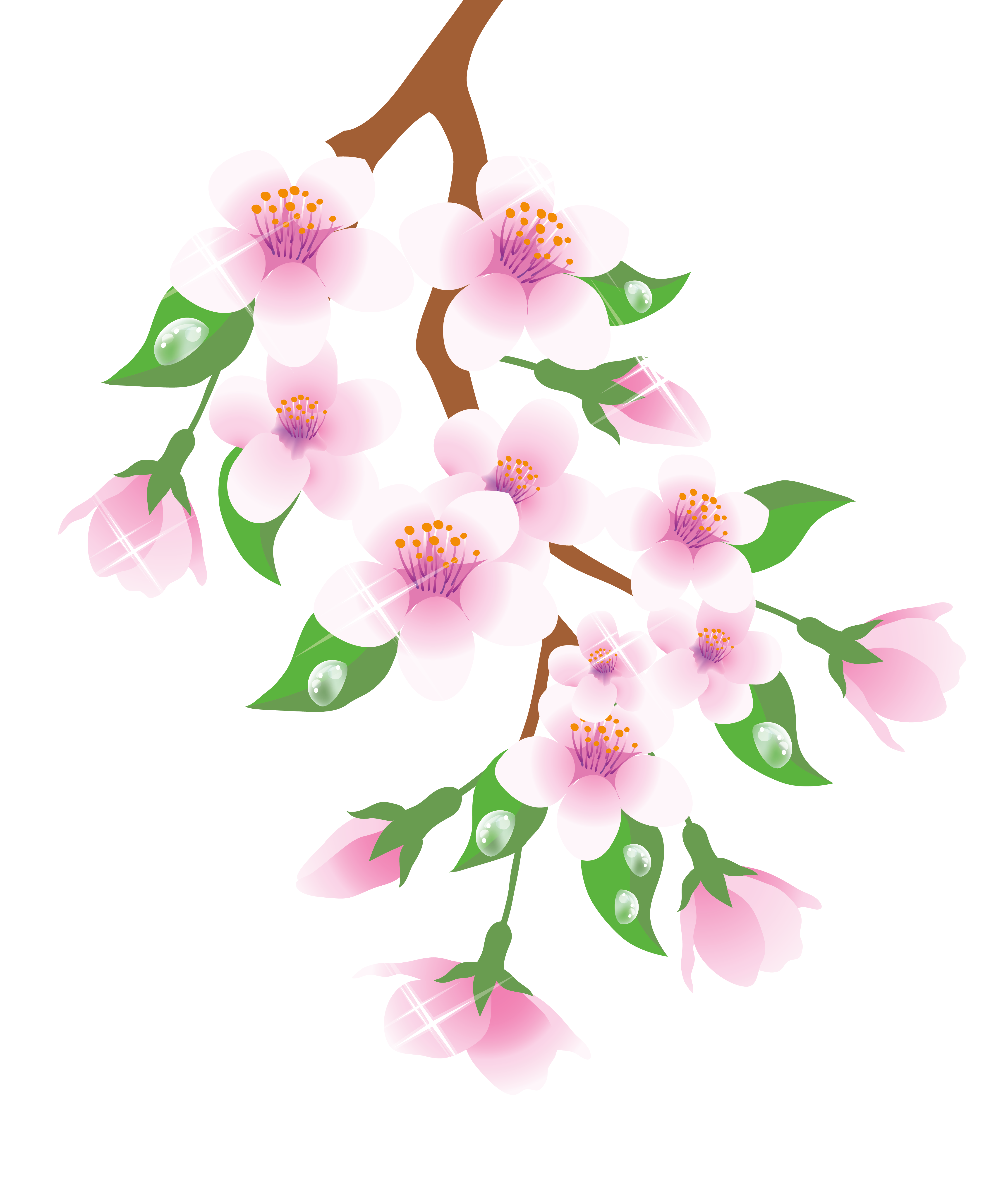 spring branch hd flower png #41517