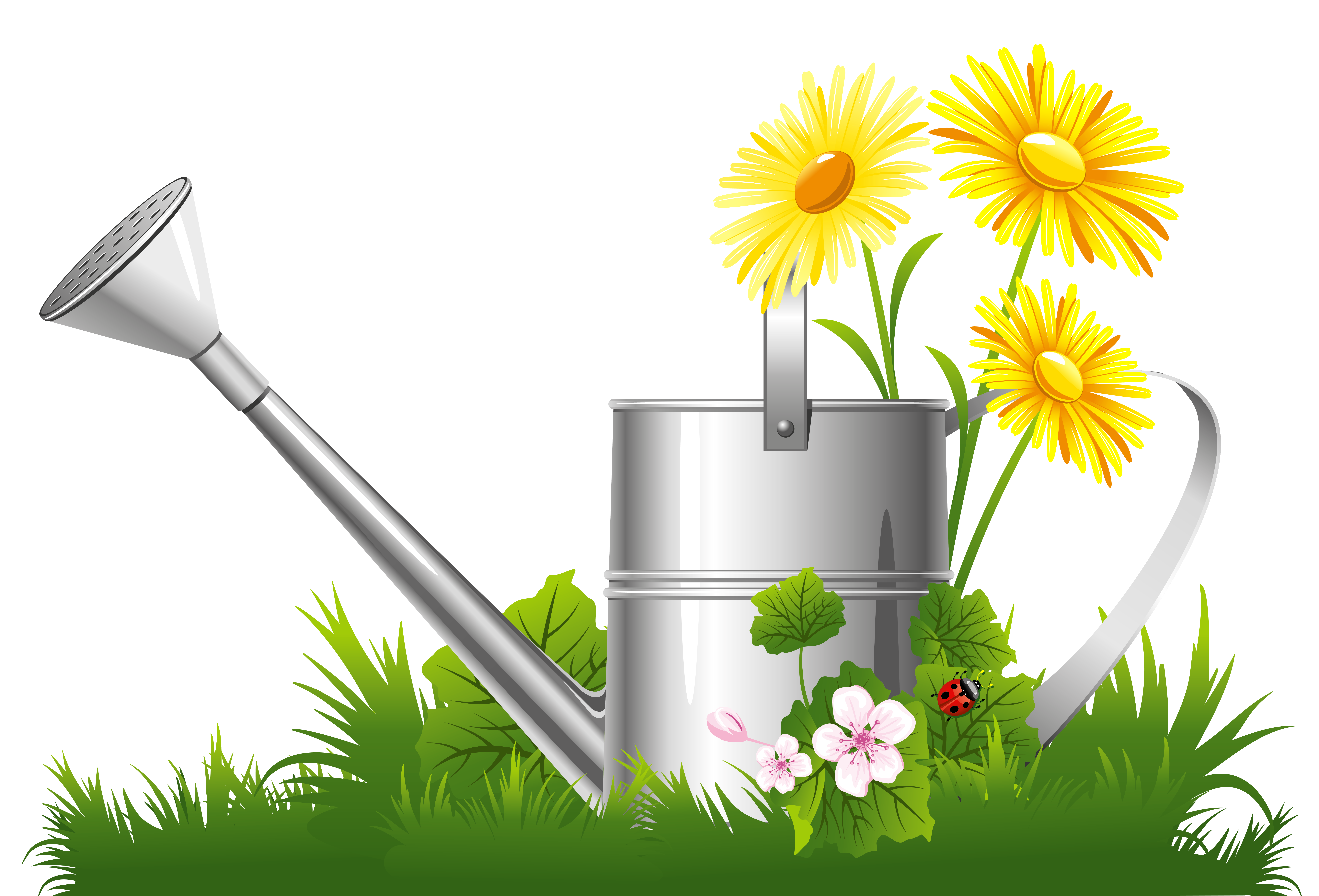 spring daisy flower with grass clipart download images #41536