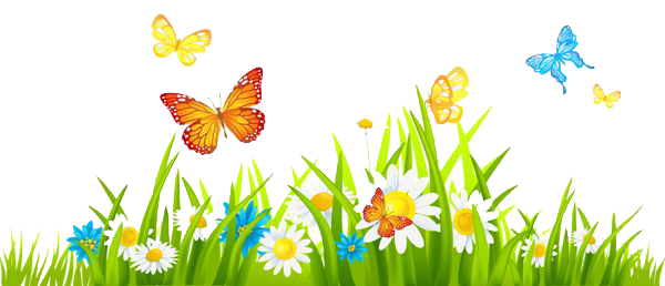 spring, grass, butterfly, flowers, daisy png transparent images #41520