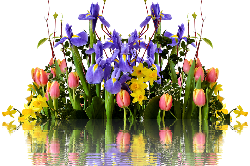 spring reflection flowers mirror png download #41522