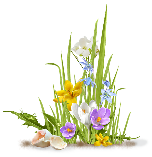 Spring PNG Images, Spring Flowers Transparent Background