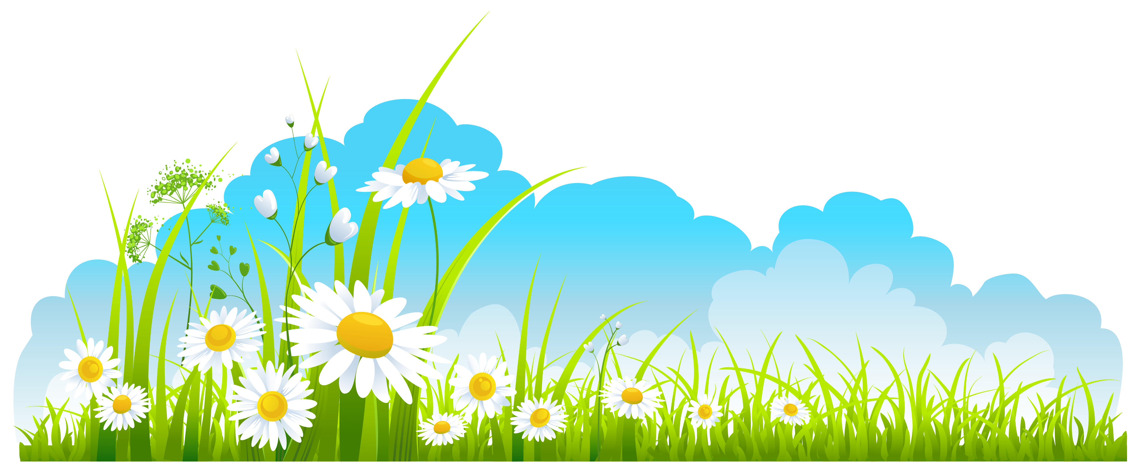 transparent spring picture with sky and flowers download #41518