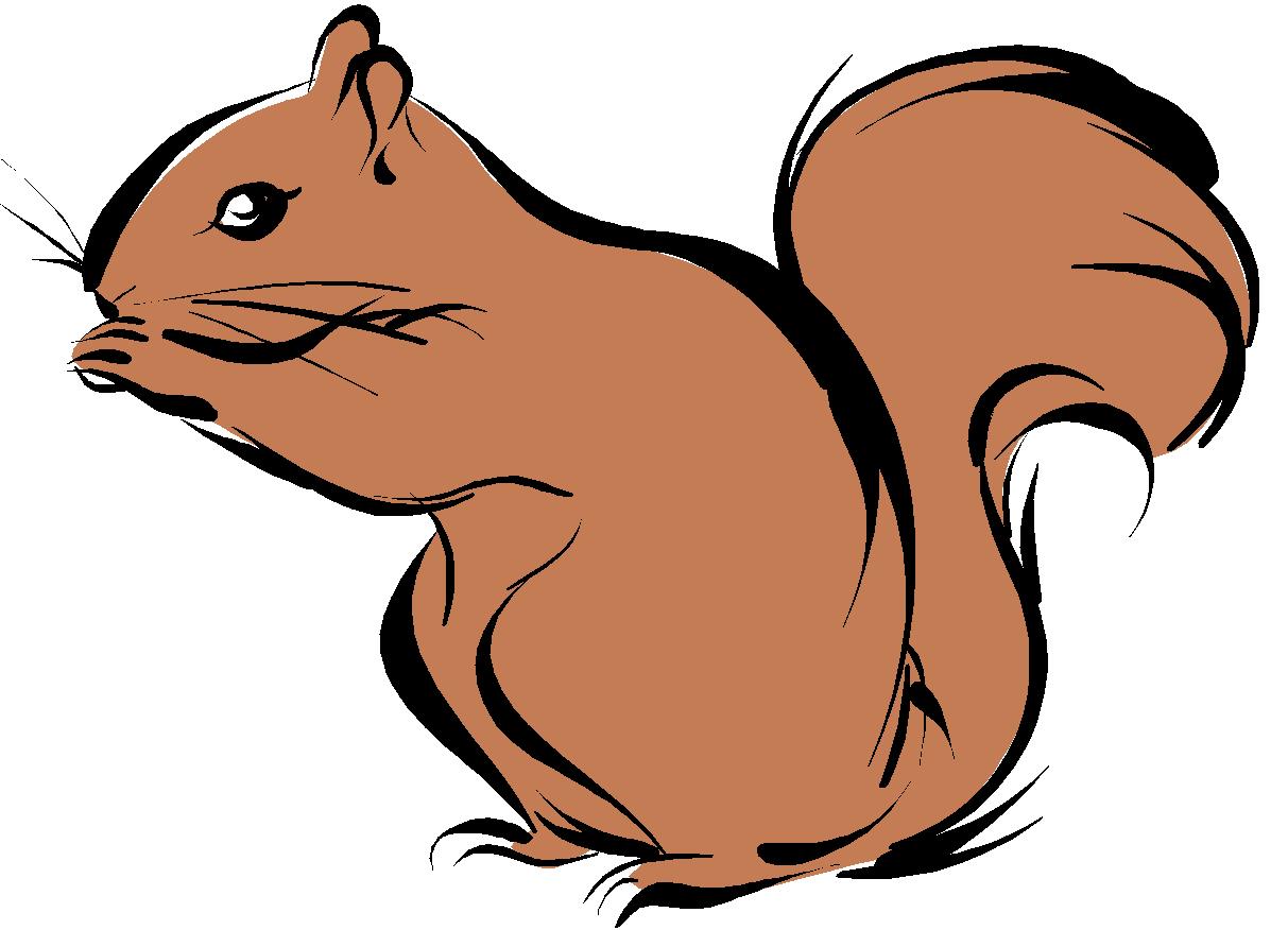 squirrel cartoon images clipart library #37265