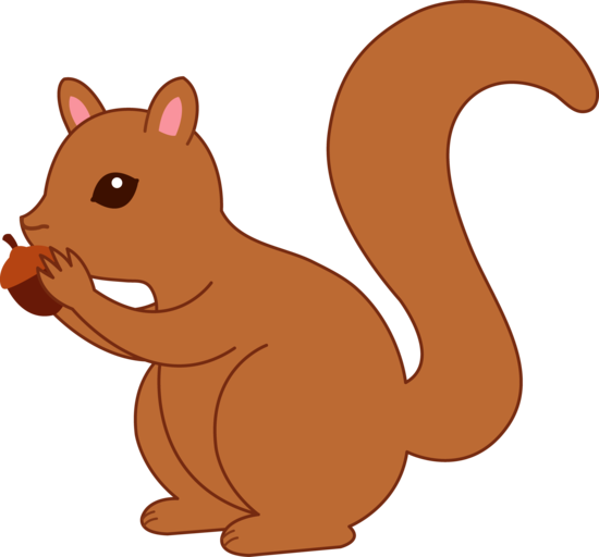 squirrel clipart #37277