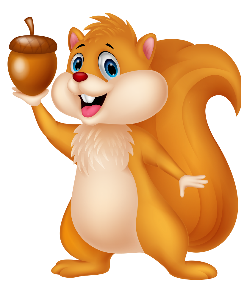 squirrel clipart clip art images #37264