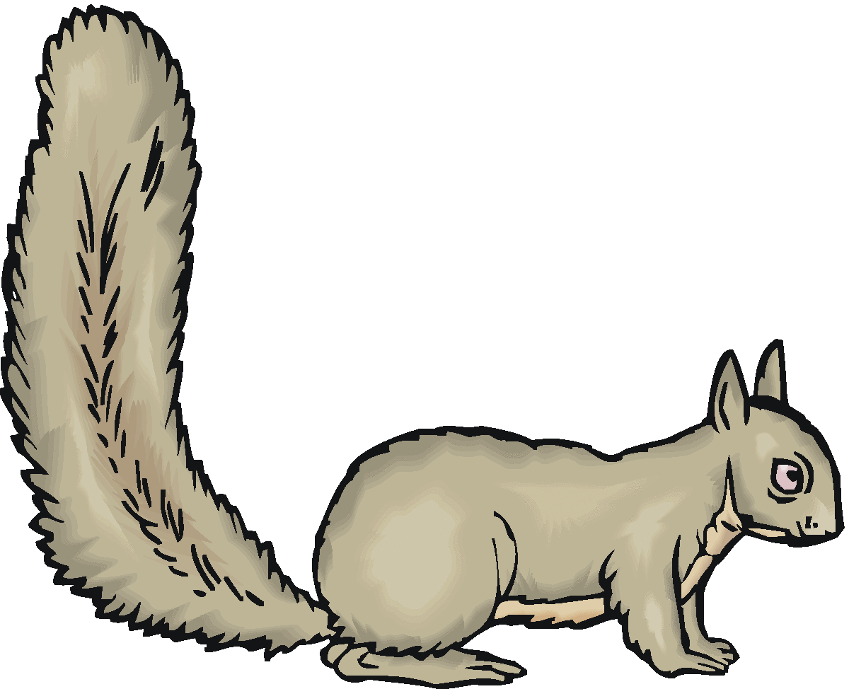 squirrel clipart running squirrels clipart #37268