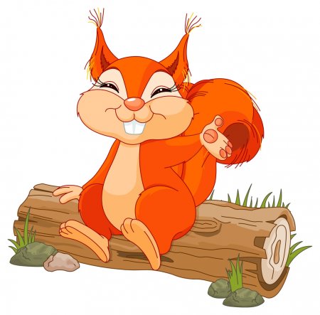 Squirrel PNG - Cartoon Squirrel, Squirrel Clipart Images