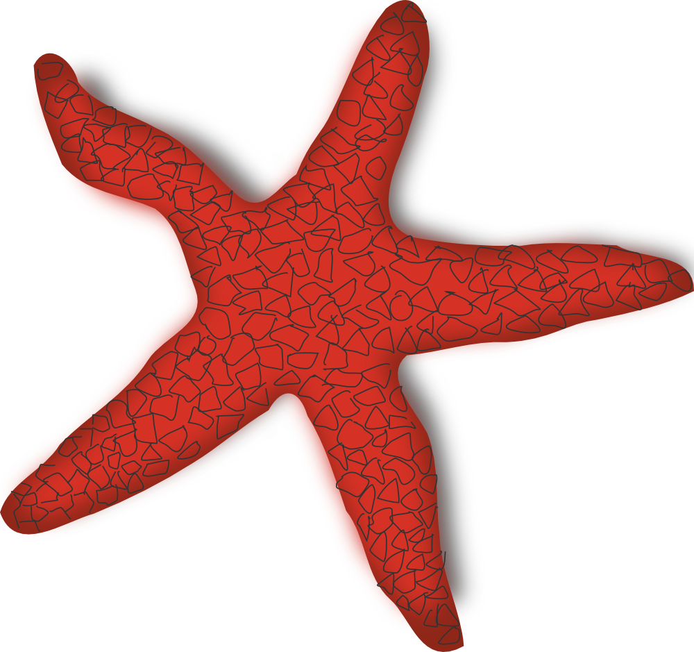 Starfish