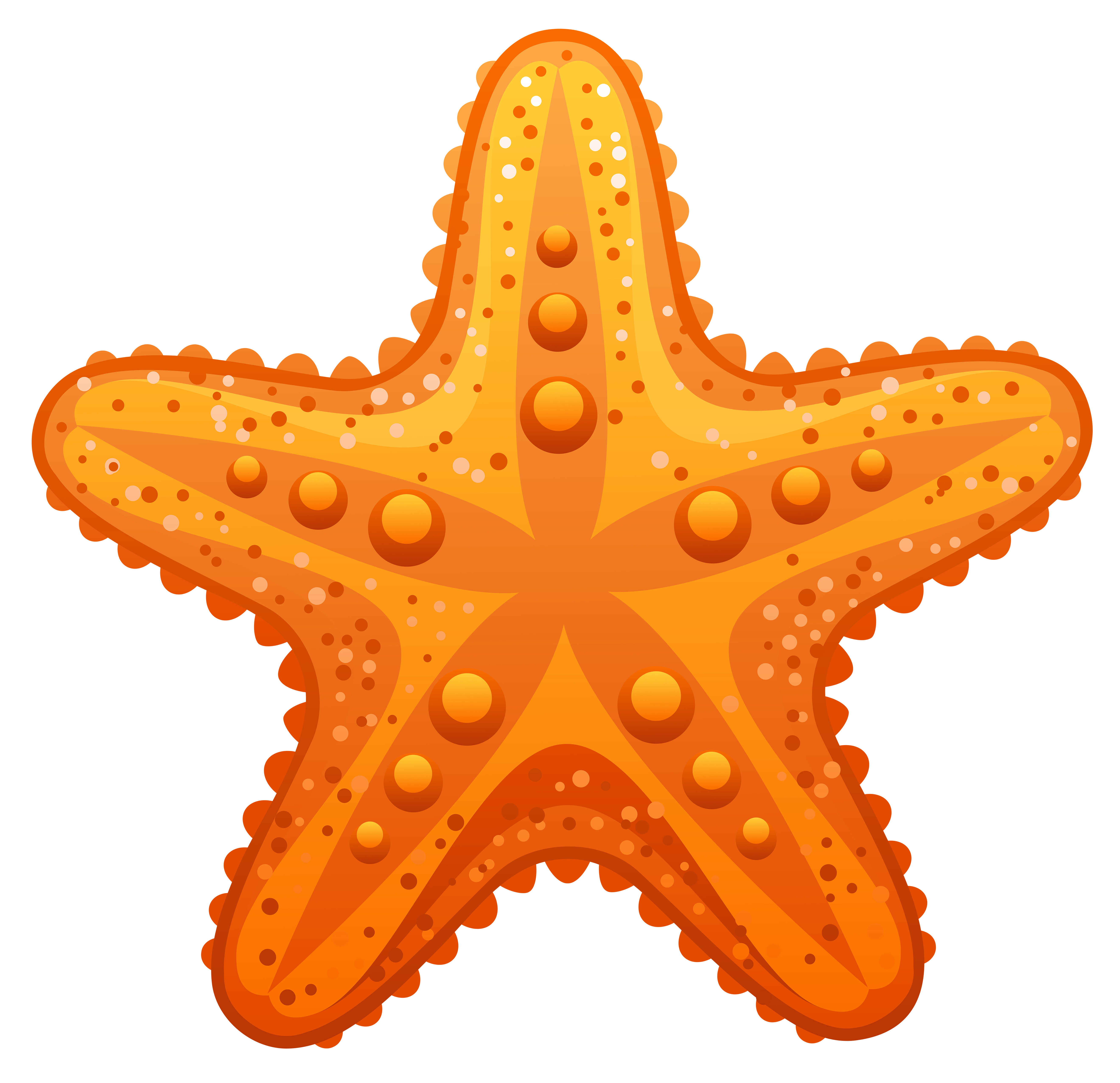 starfish, clam clipart marine life for download and use images presentations longfordpc #28513