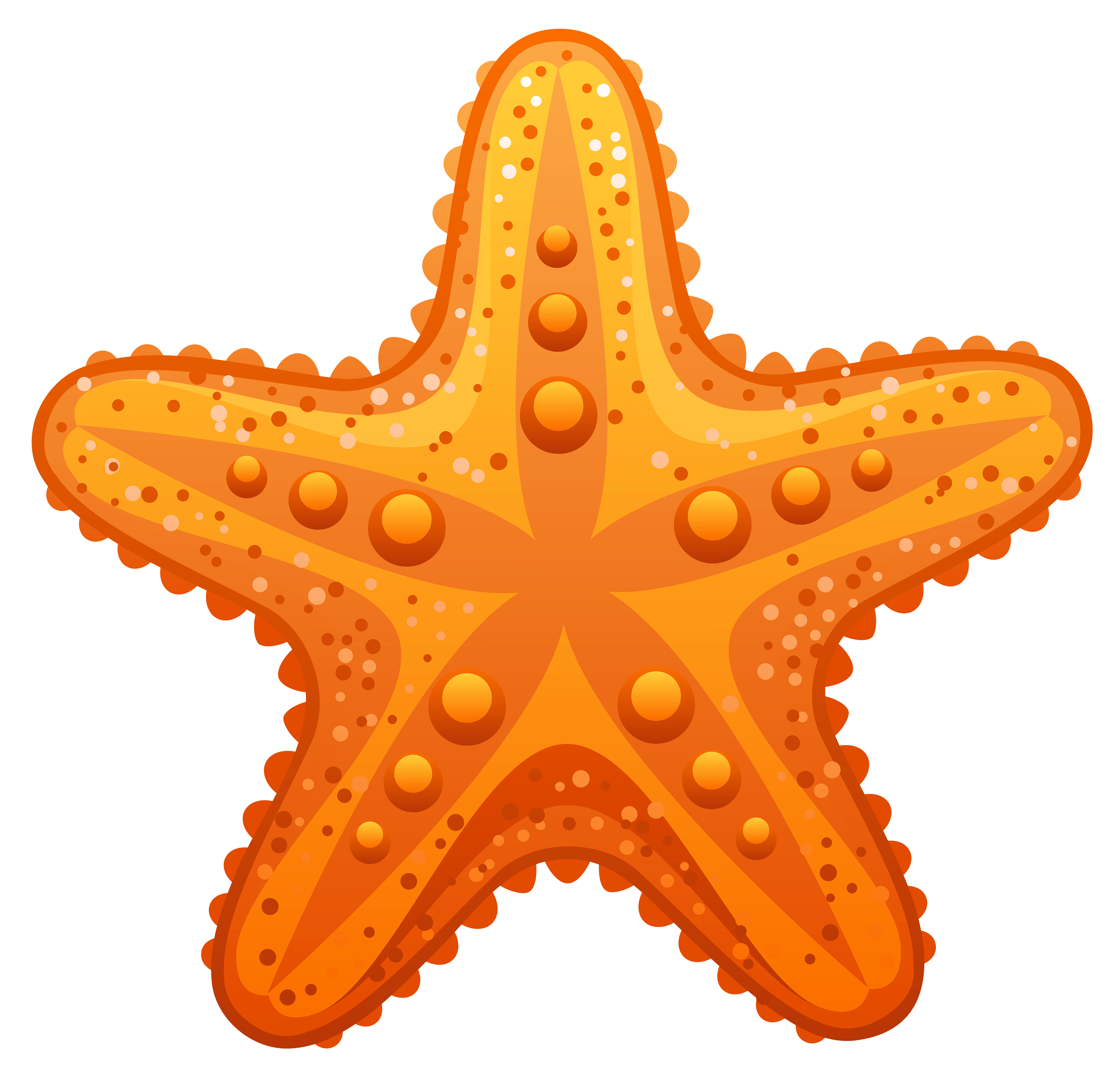 Starfish PNG Clipart, Free Download