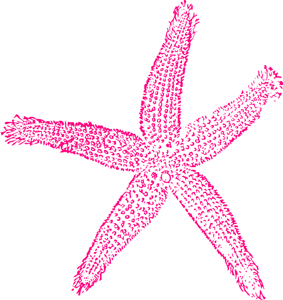 starfish clip art clkerm vector clip art online royalty domain 28564
