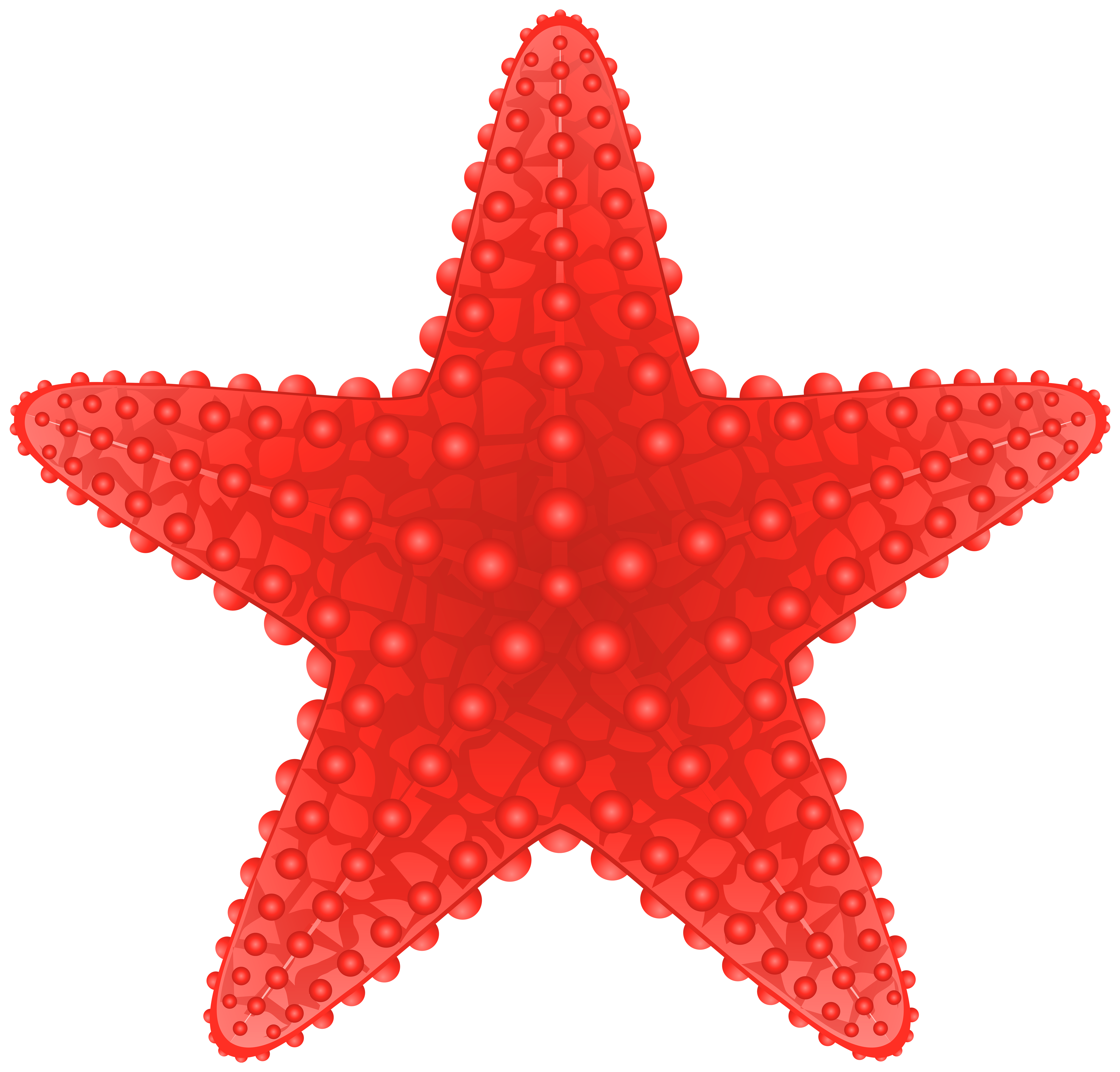 starfish cliparts download clip art clip art clipart library #28562