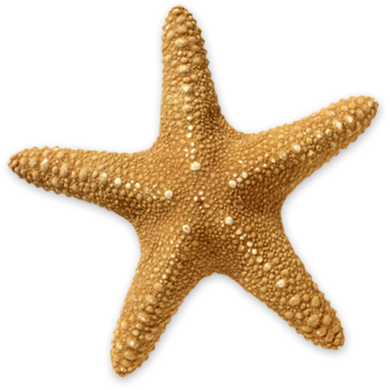 starfish, fernandez bay village cat island bahamas out islands hotel #28483