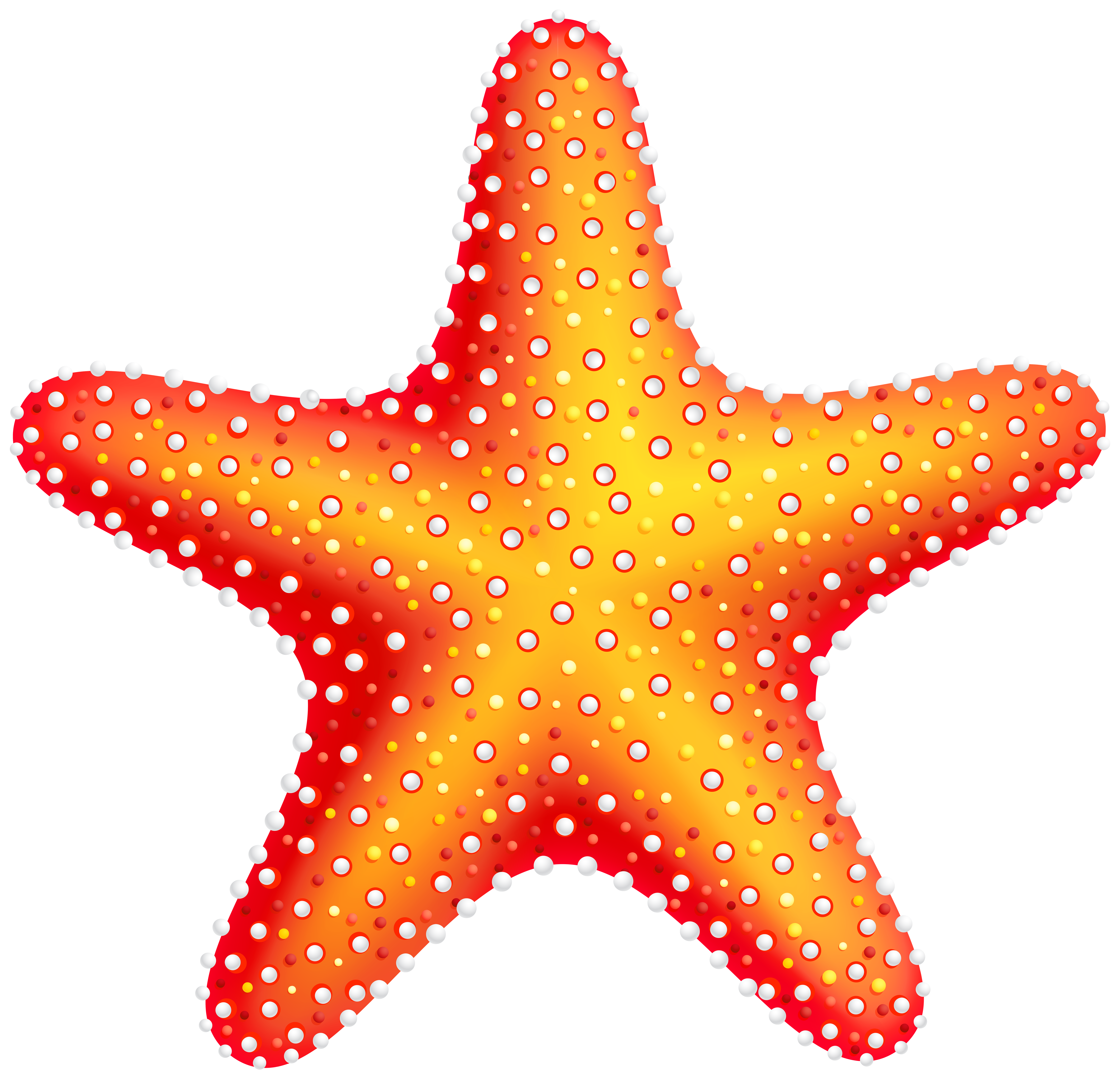 starfish png clip art best web clipart #28540