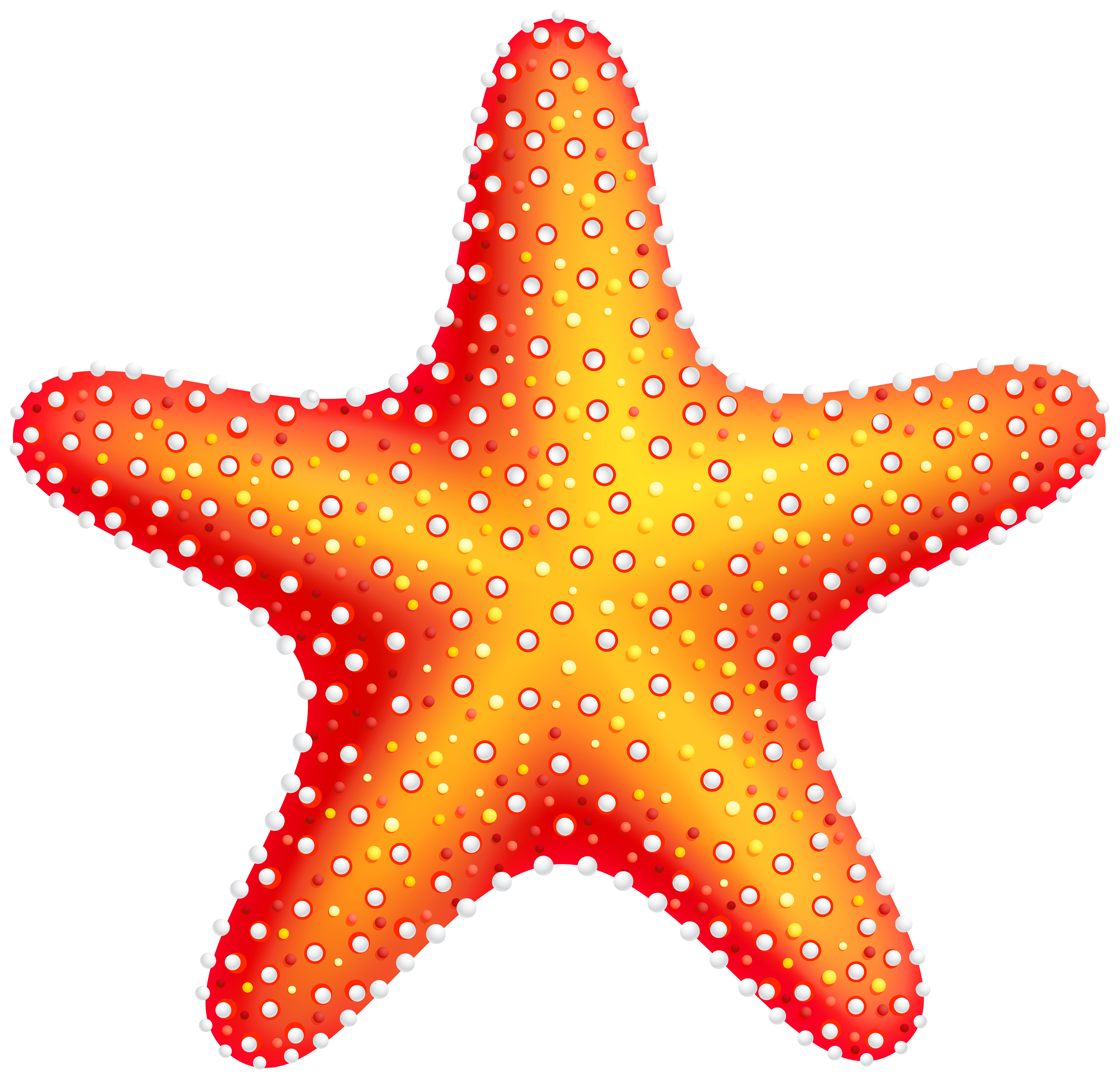 Starfish PNG Clipart, Free Download