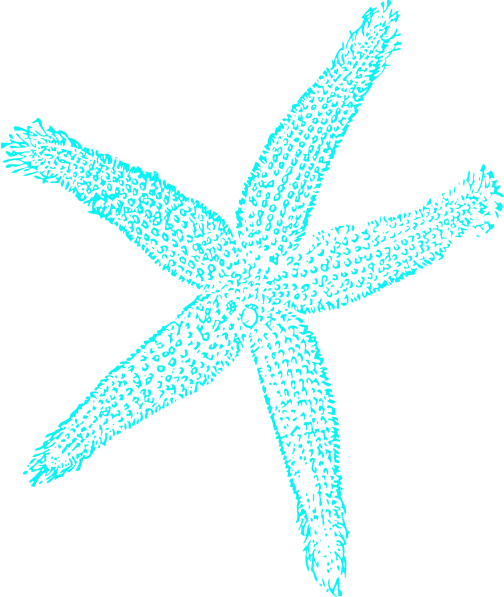starfish prints clip art clkerm vector clip art online royalty domain #28620