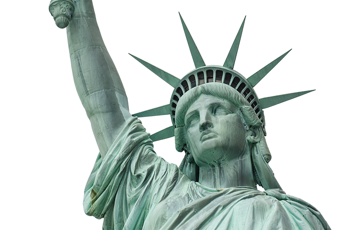 statue of liberty, vote pat quinn the united states senate #21201