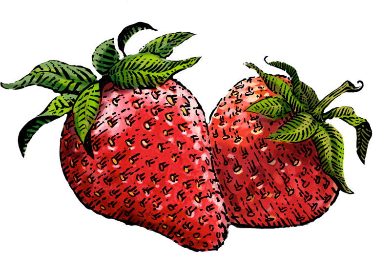 strawberry clipart #14989