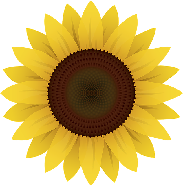 flowers sunflower plants vector graphic pixabay #17249