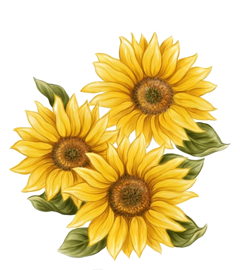 sunflower, orig coloring pages #17213