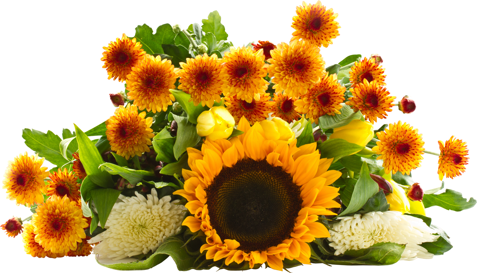 sunflower png images transparent background #17265