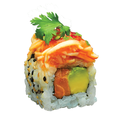 sushi art #25809