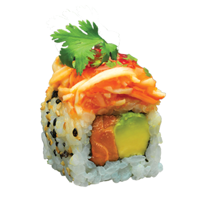 sushi art, sauce, food presentation png #25809