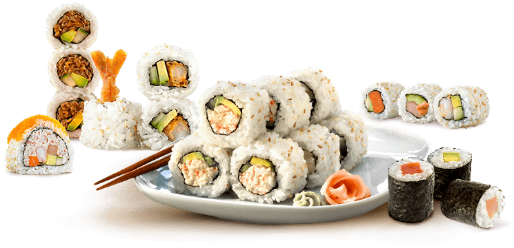 Japanese sushi dish with white rice on plate png #25742