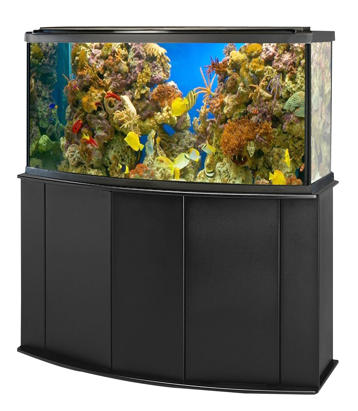 water tank, aquarium fish tank png image purepng transparent #31703