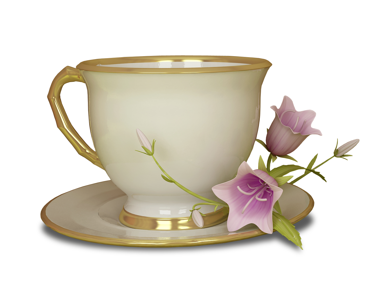 Download Tea Cup PNG Clipart Free Pictures