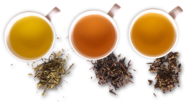 Tea PNG Images Hot Drink, Green Tea, Black Tea Free Download - Free