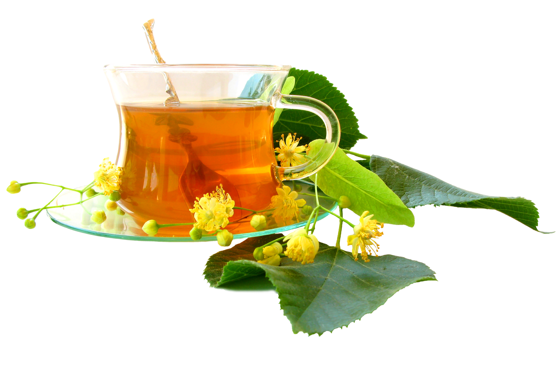 herbal tea cup png images #19404