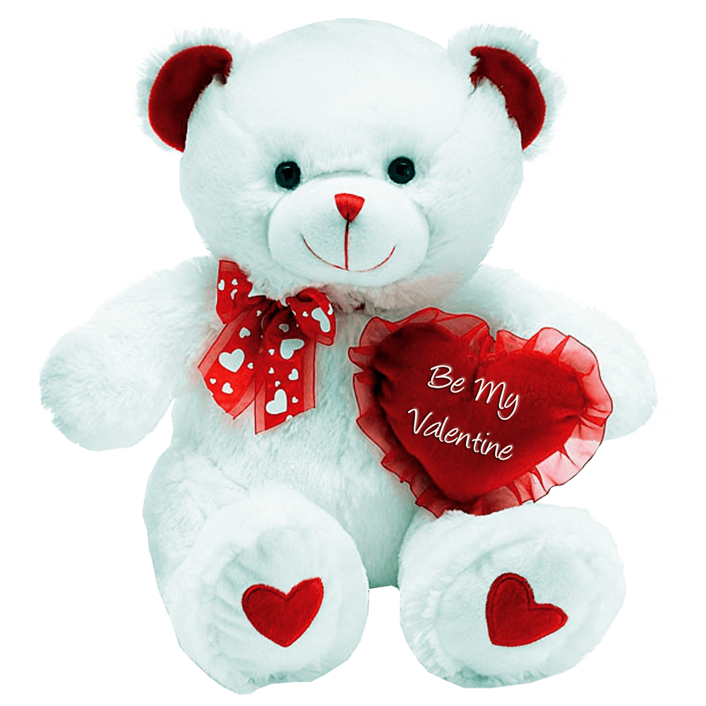 teddy bear, gallery png images #15668