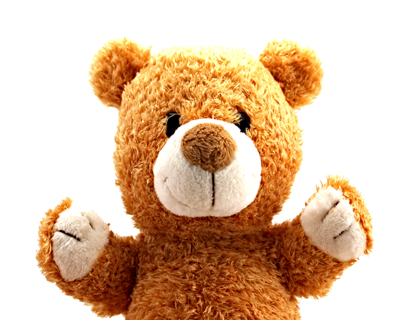 teddy bear png image pngpix #15665