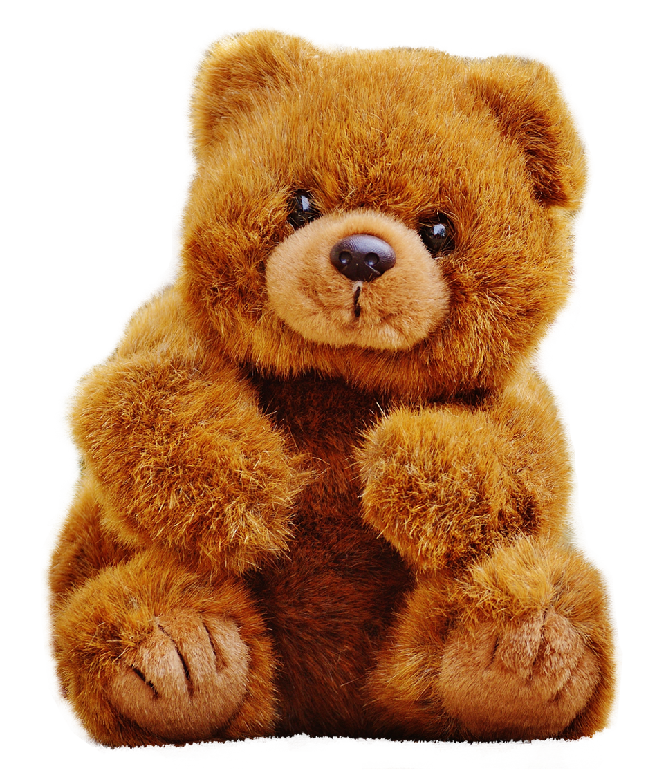 bear PNG transparent image download, size: 500x376px