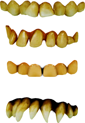 neanderthal teeth png kit dbszabo deviantart #25706