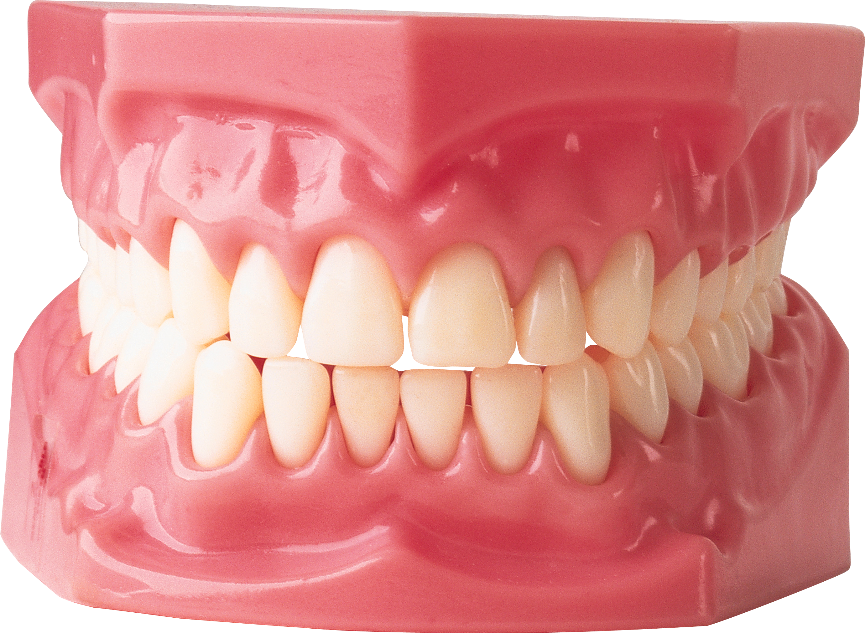 teeth png icons and png backgrounds #25659