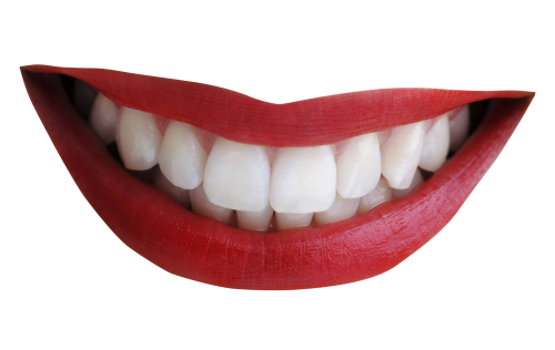 teeth png transparent image pngpix #25677