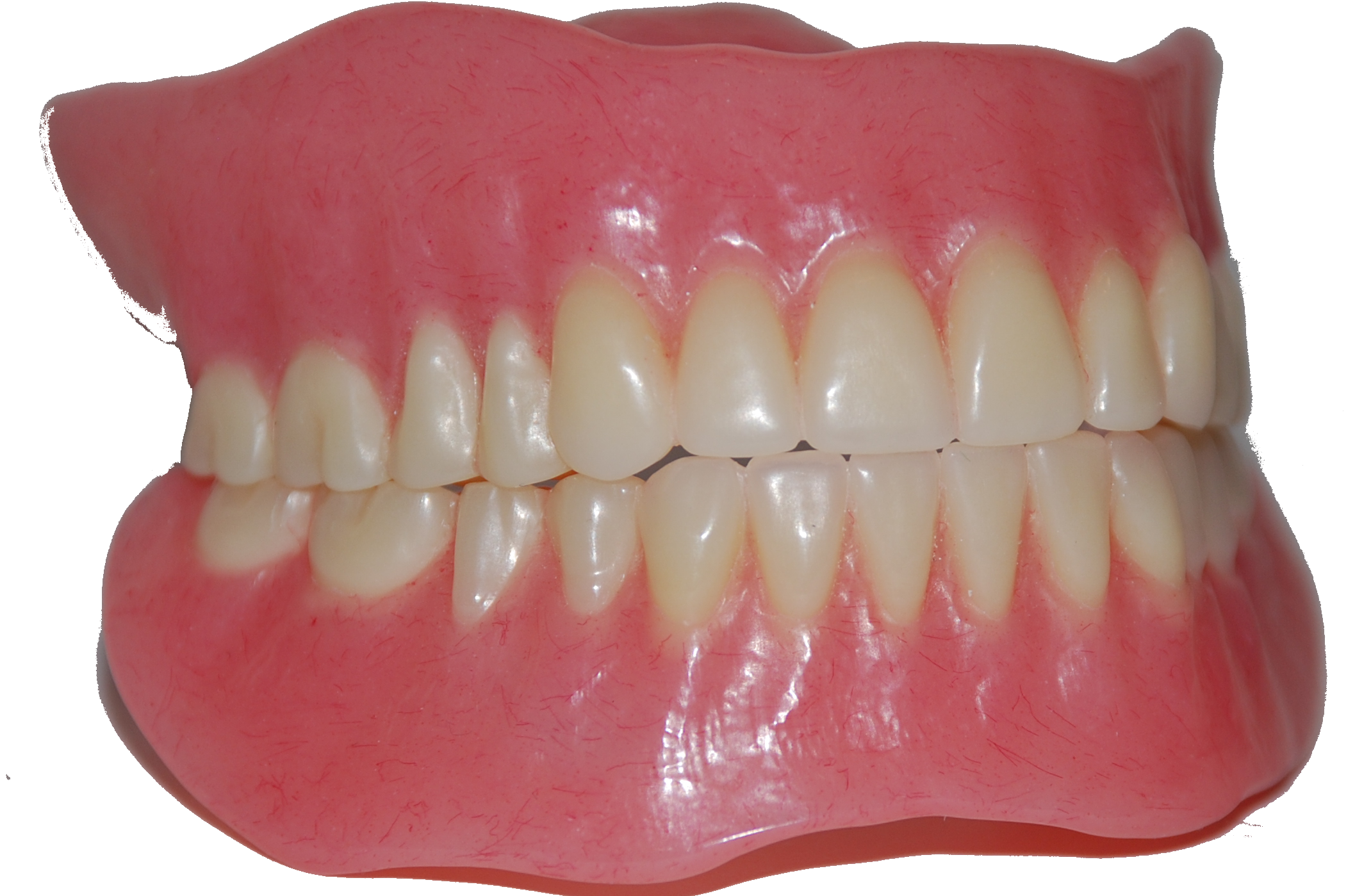 teeth transparent png pictures icons and png #25681