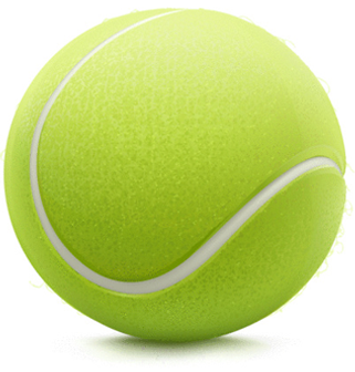 tennis ball aishi sports #26741