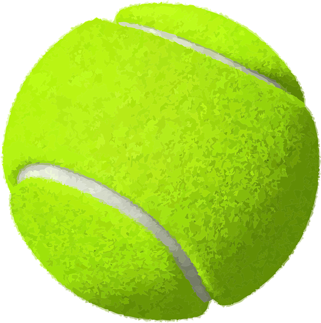 tennis ball yellow vector graphic pixabay #26684
